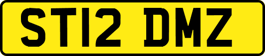 ST12DMZ