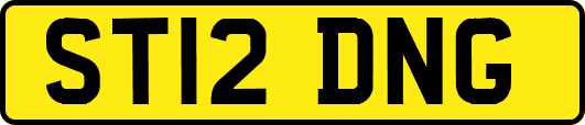 ST12DNG