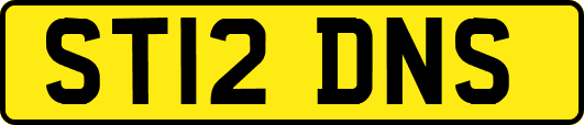 ST12DNS