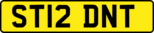 ST12DNT