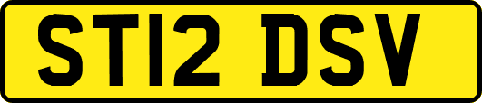 ST12DSV