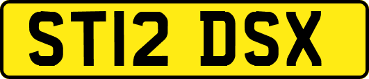 ST12DSX