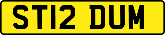 ST12DUM