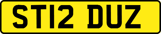ST12DUZ