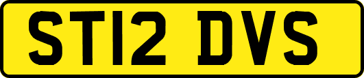 ST12DVS