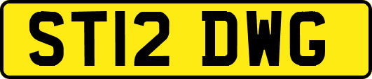 ST12DWG
