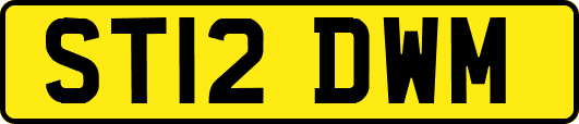ST12DWM