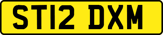 ST12DXM