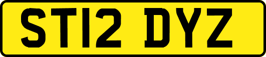 ST12DYZ