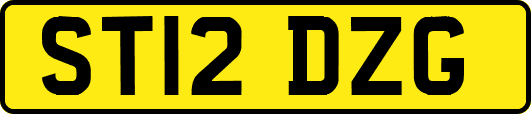 ST12DZG