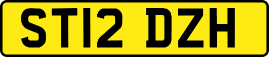 ST12DZH