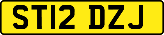 ST12DZJ