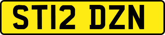 ST12DZN