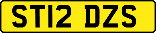 ST12DZS