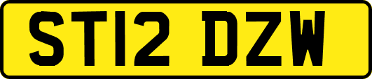ST12DZW