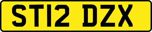 ST12DZX