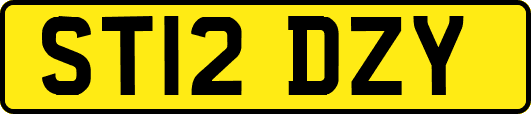 ST12DZY