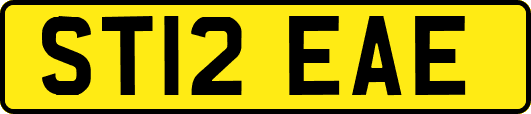 ST12EAE