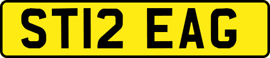 ST12EAG