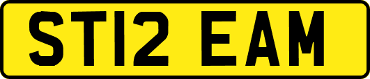 ST12EAM