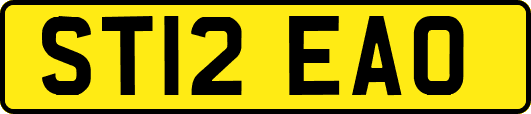 ST12EAO