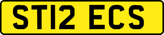 ST12ECS