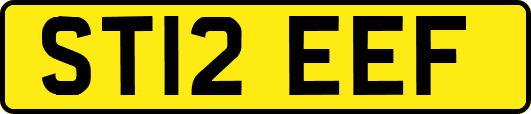 ST12EEF