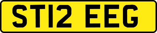 ST12EEG