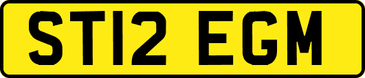 ST12EGM