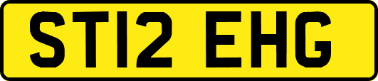 ST12EHG