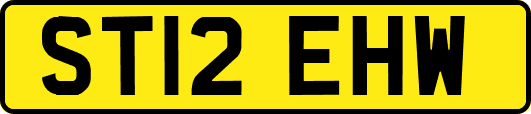 ST12EHW