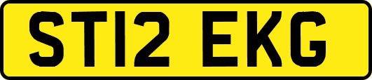 ST12EKG