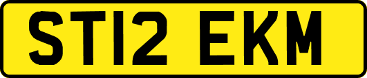 ST12EKM