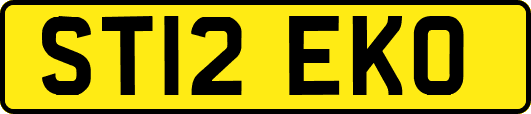 ST12EKO