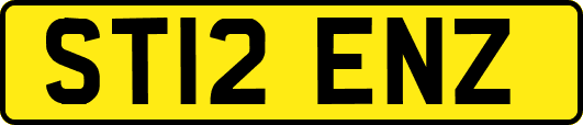 ST12ENZ