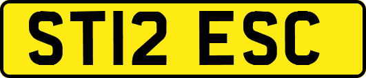 ST12ESC