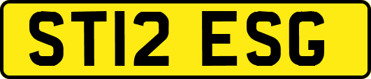 ST12ESG