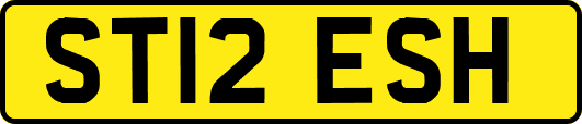 ST12ESH