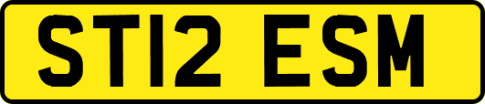 ST12ESM
