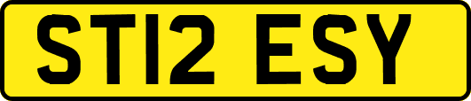 ST12ESY