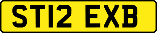 ST12EXB