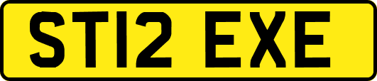 ST12EXE