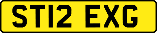 ST12EXG