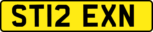 ST12EXN