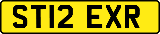 ST12EXR