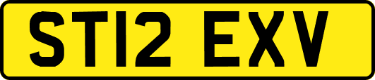 ST12EXV