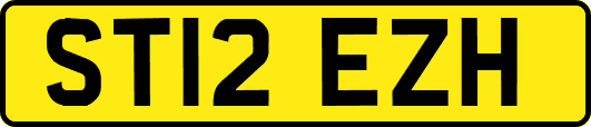 ST12EZH
