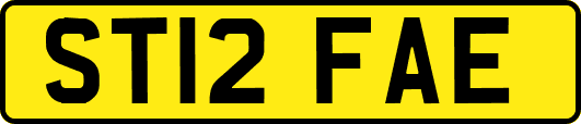 ST12FAE