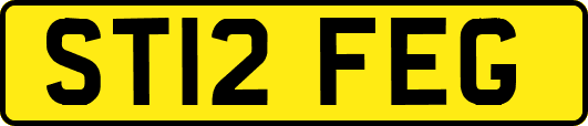 ST12FEG