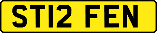 ST12FEN